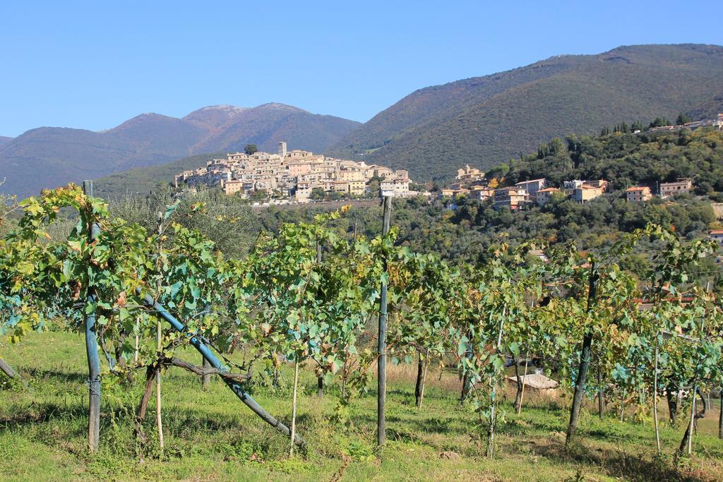 B&B Colle Perrini Country House Casperia Exteriér fotografie
