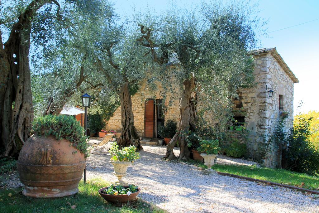B&B Colle Perrini Country House Casperia Exteriér fotografie